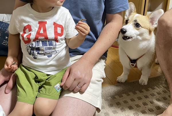 「わんわんにオヤツあげていいよ」といわれた２歳児　オチに「爆笑した」