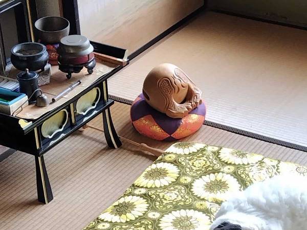 ちょっとそこは…　のんびりくつろぐ猫が選んだ場所に「天才」「魅力的なんだろう」