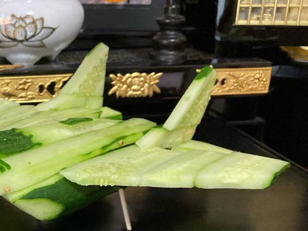 先祖に早く帰ってきてほしくて？　強すぎる精霊馬に「振り落とされるわ！」「発想に吹いた」