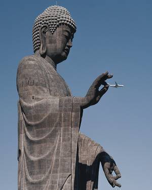 大仏の指先を見てみると？　奇跡の１枚に「神業、いや仏業だ！」「二度見した」