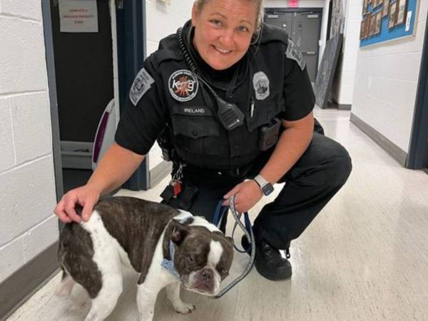 空港で見つかった犬　飼い主に非難の声が殺到　「ペットを飼う資格はない」「かわいそうに」