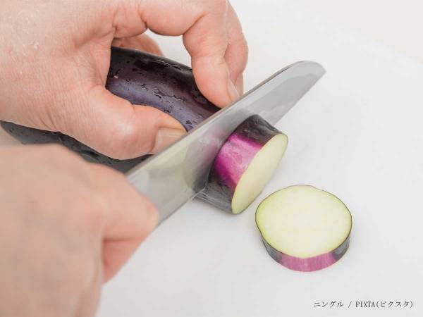 うどんやそうめんにも使える！　ミツカンが教える『やみつきナス』のレシピが優秀だった