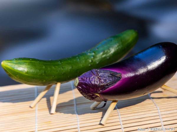 お盆に飾る精霊馬、最後はどうすればいい？　正しい片付け方に「意外と知らないかも」