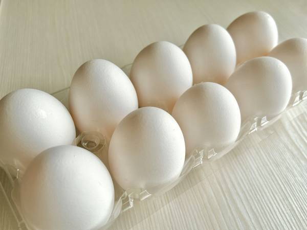 余らせがちな食材、どう保存する？　便利な３選に「知らなかった」「やってみます」