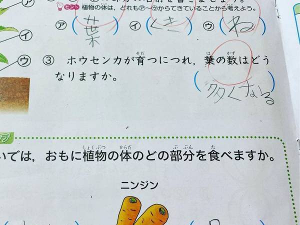 夏休みに出された理科の宿題　小３娘の『珍解答』に、キュン
