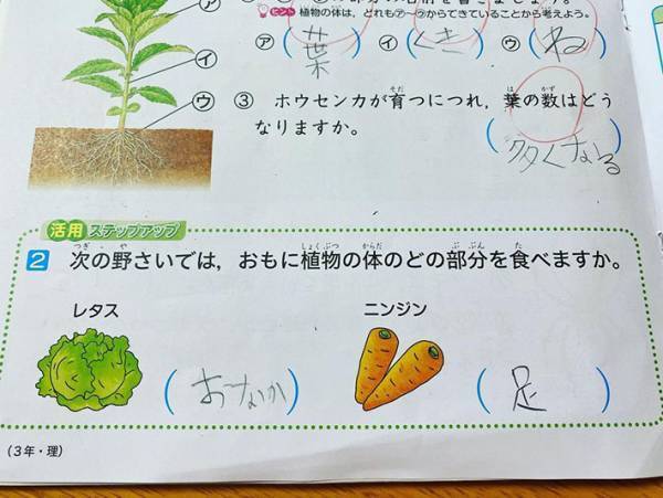 夏休みに出された理科の宿題　小３娘の『珍解答』に、キュン