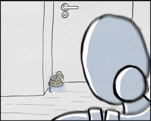 ヘビと鉢合わせした主婦　追い込まれた末の咄嗟の行動が…？　「狂気」「ヘビもビビる」