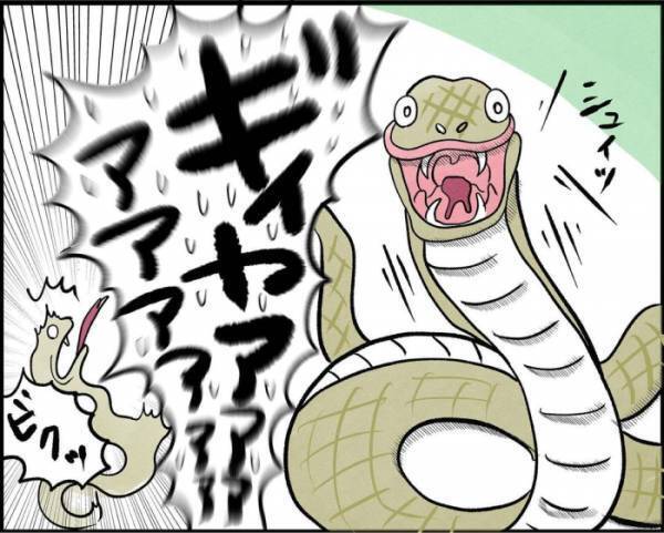 ヘビと鉢合わせした主婦　追い込まれた末の咄嗟の行動が…？　「狂気」「ヘビもビビる」
