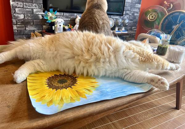 「夏休みの宿題がピンチです」　小学生を襲った妨害に「最高か？」「天才」