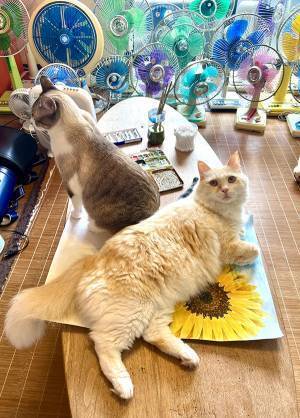 「夏休みの宿題がピンチです」　小学生を襲った妨害に「最高か？」「天才」