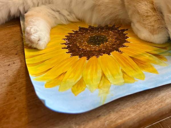 「夏休みの宿題がピンチです」　小学生を襲った妨害に「最高か？」「天才」