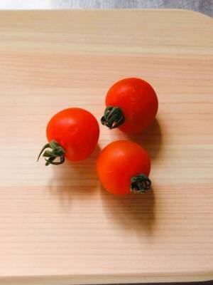 「危なかった！」「今すぐやめる」　食中毒のリスクをあげてしまう意外なお弁当作り