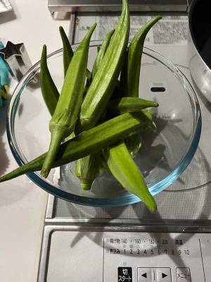 １００均で買ったオクラの種を庭に植えたら…数か月後とんでもないことに！？