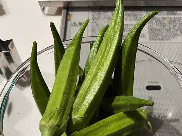 １００均で買ったオクラの種を庭に植えたら…数か月後とんでもないことに！？