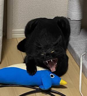 いつもは天使のような猫　衝撃的な１枚に「完全にモンスター」「怖すぎて爆笑した」
