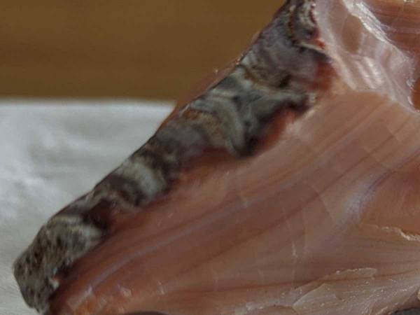 断面がリアルすぎる…！　どう見ても鮭の切り身な『謎の石』の正体とは