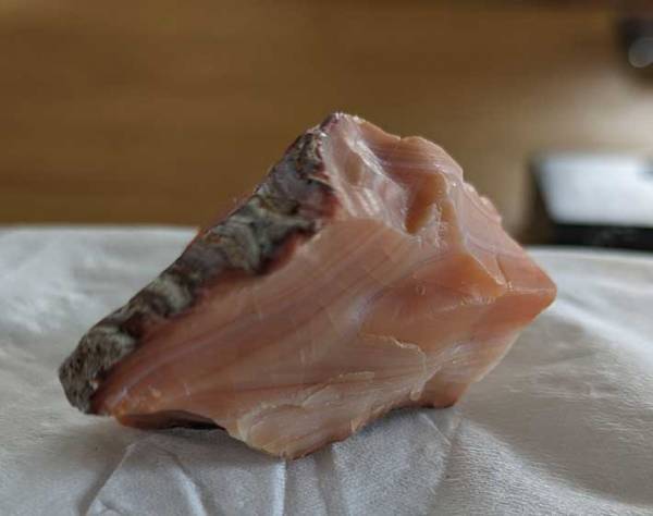 断面がリアルすぎる…！　どう見ても鮭の切り身な『謎の石』の正体とは