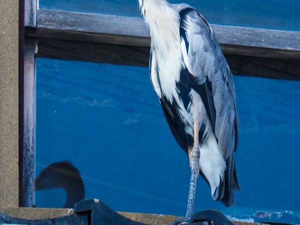 「すごすぎ！」「セリフが聞こえてきそう」　徳島で撮影された『ジブリっぽい風景』