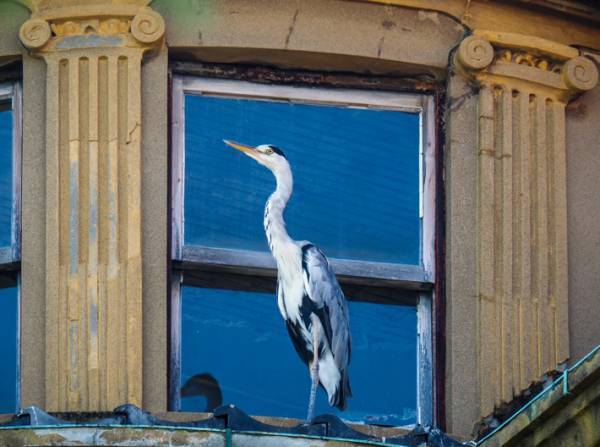 「すごすぎ！」「セリフが聞こえてきそう」　徳島で撮影された『ジブリっぽい風景』
