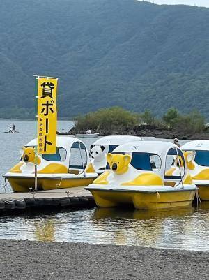 「スワンボートかと思ったら…」　１枚の写真に笑撃！　「笑った」「ムキムキやん」