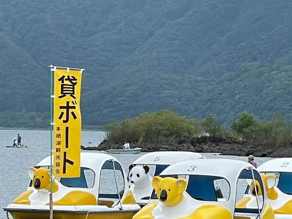 「スワンボートかと思ったら…」　１枚の写真に笑撃！　「笑った」「ムキムキやん」