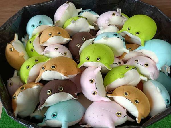 カエルを作ったはずが…　裁断を間違えた結果、思わぬものが誕生してしまって！？