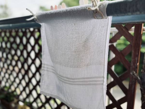 洗濯したてのタオルからイヤな臭いが…　原因に「知らなかった」「勉強になる」