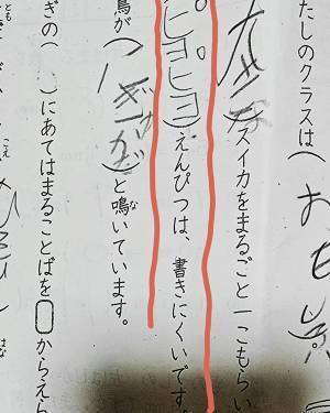 母「最高や、そんな君が好き！」　７歳児の珍解答にツッコミが止まらない