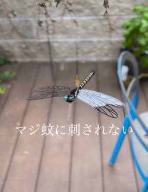 まさかその模型で…？　とあるグッズの虫除け効果に「ホンマですか」「やってみる」