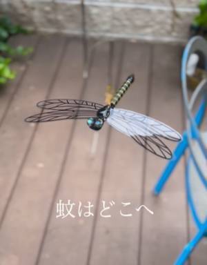 まさかその模型で…？　とあるグッズの虫除け効果に「ホンマですか」「やってみる」