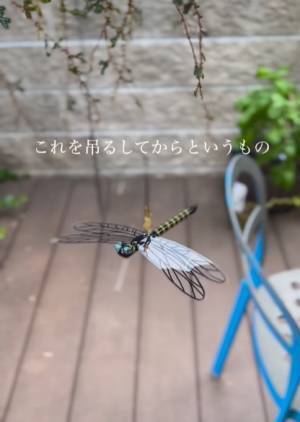 まさかその模型で…？　とあるグッズの虫除け効果に「ホンマですか」「やってみる」