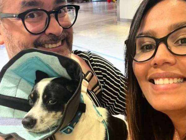 心無い人にひき逃げされた子犬　それがきっかけで最高の展開に！「これは運命だ」