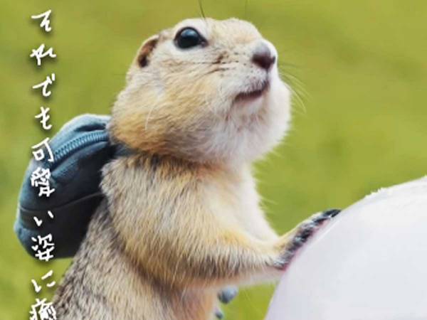 「どうやって撮ってんの？」　自称『リスと走るおじさん』の撮影秘話に爆笑