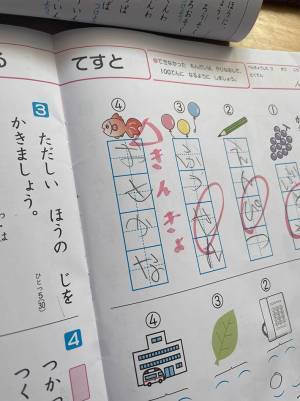 「これが見たかったのよ」　母親が大興奮した、小１息子の『珍解答』
