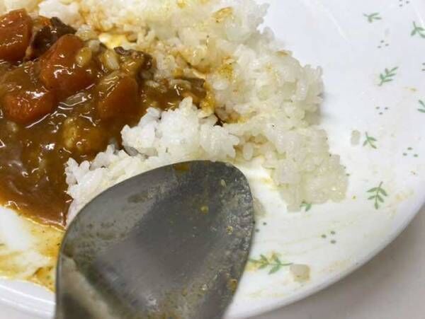 後片付けが面倒なカレー皿　食後の憂鬱がなくなる『食べ方』を「みんなに教えたい」