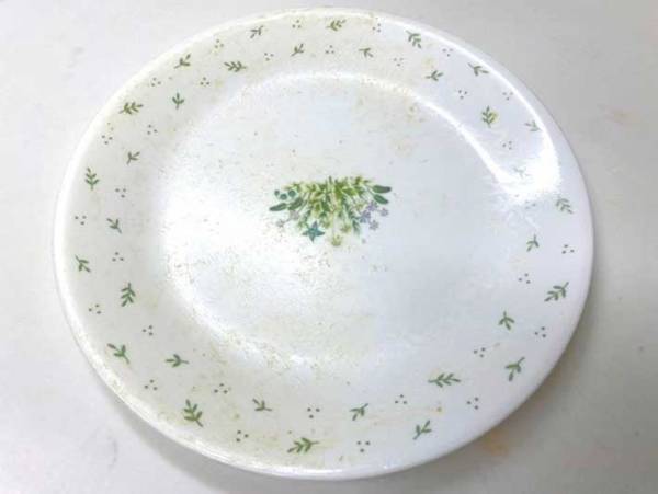 後片付けが面倒なカレー皿　食後の憂鬱がなくなる『食べ方』を「みんなに教えたい」