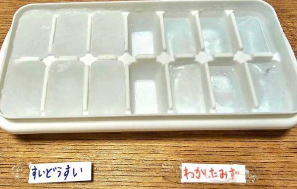 溶けにくい氷の作り方　意外な方法に「なんで？」「知らなかった」