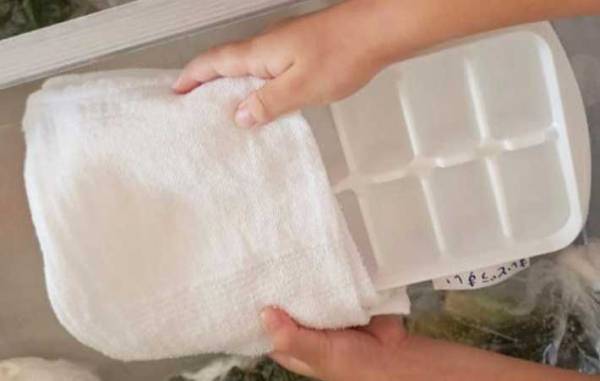 溶けにくい氷の作り方　意外な方法に「なんで？」「知らなかった」