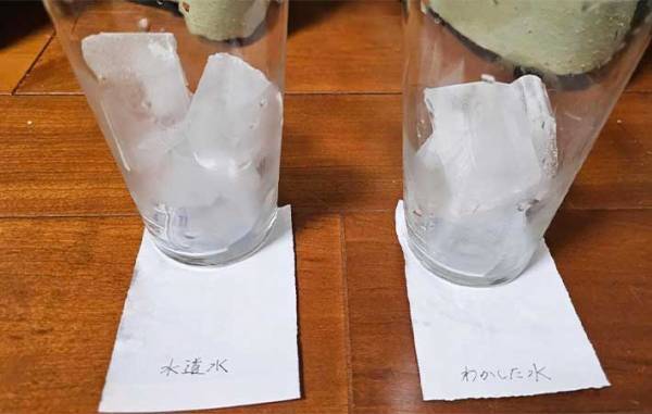 溶けにくい氷の作り方　意外な方法に「なんで？」「知らなかった」