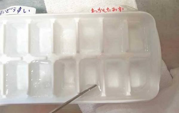 溶けにくい氷の作り方　意外な方法に「なんで？」「知らなかった」