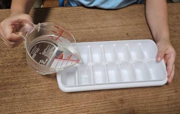 溶けにくい氷の作り方　意外な方法に「なんで？」「知らなかった」