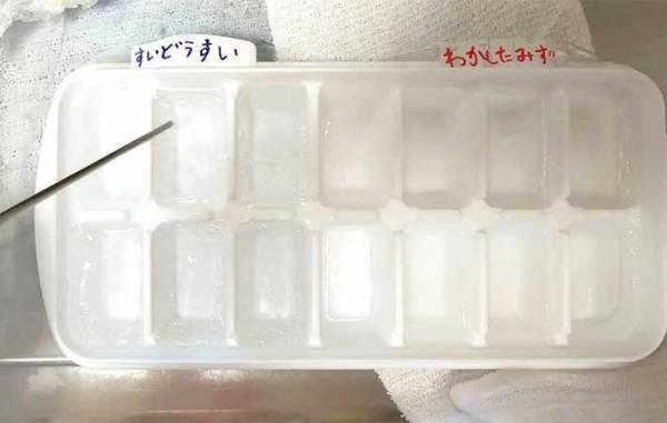 溶けにくい氷の作り方　意外な方法に「なんで？」「知らなかった」