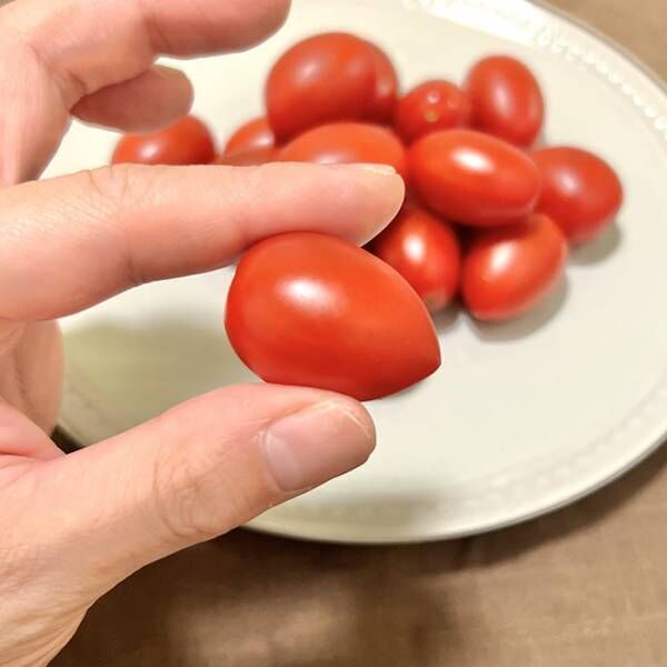 「見つけたらぜひ買ってください」　シェフ絶賛のトマトに「知らなかった！」「勘違いしてた」