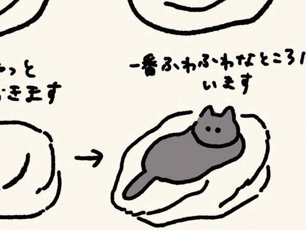 愛猫の行動パターンに気付いた飼い主　ベッドの上に毛布を丸めておくと…