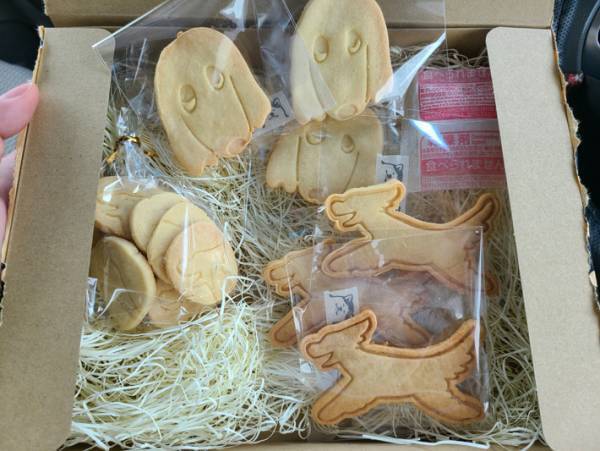 友人が作ったクッキーに「めちゃウマい」とLINEしたら？　返信に「嘘だろ…」