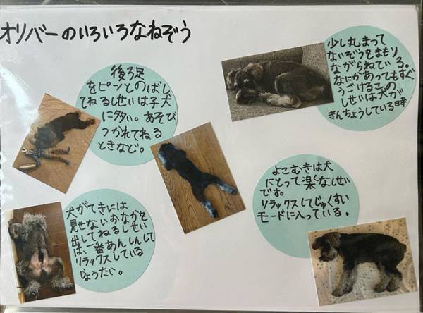 小２息子の『自由研究』に絶賛の声　「特別賞をあげたい」「涙が出た」