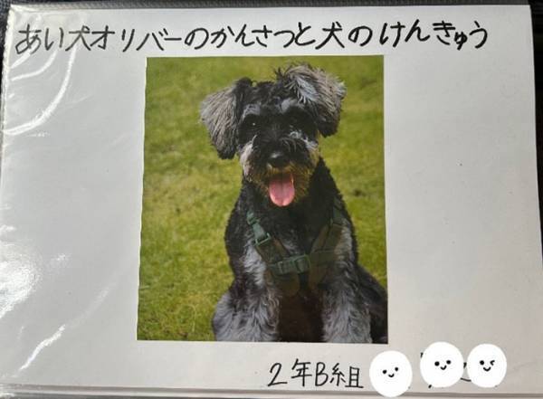 小２息子の『自由研究』に絶賛の声　「特別賞をあげたい」「涙が出た」