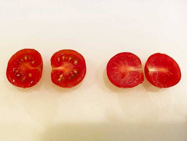 「考えたこともなかった…」　種が飛び出ない『ミニトマトの切り方』とは？