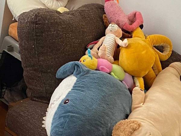 探しても見つからない犬　ふとソファーのぬいぐるみに、目を向けると…