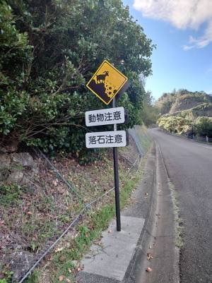 撮影者「そんなバカな…」　崖の上に落石の『犯人』たちが！